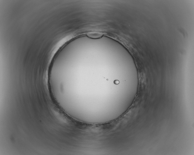 X0000113890148200910151342