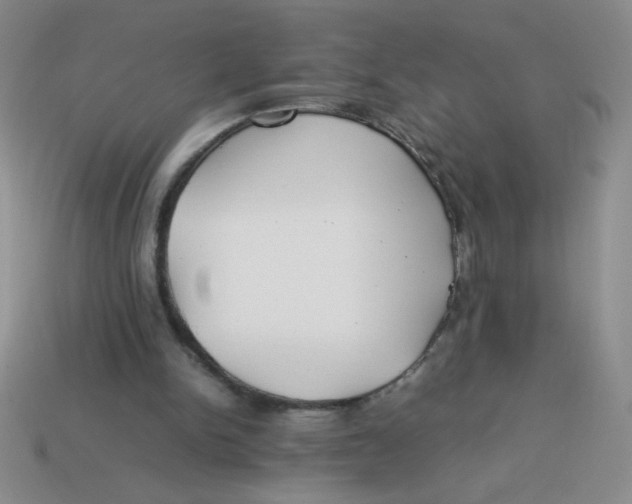 X0000113890150200910151342