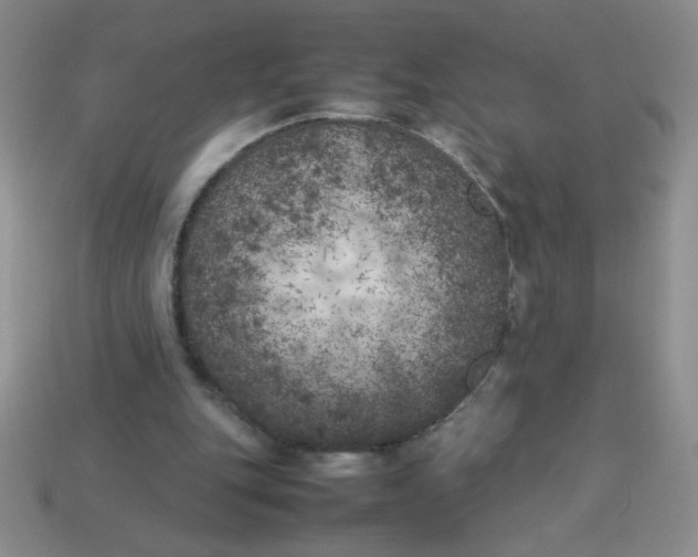 X0000113890151200910151342