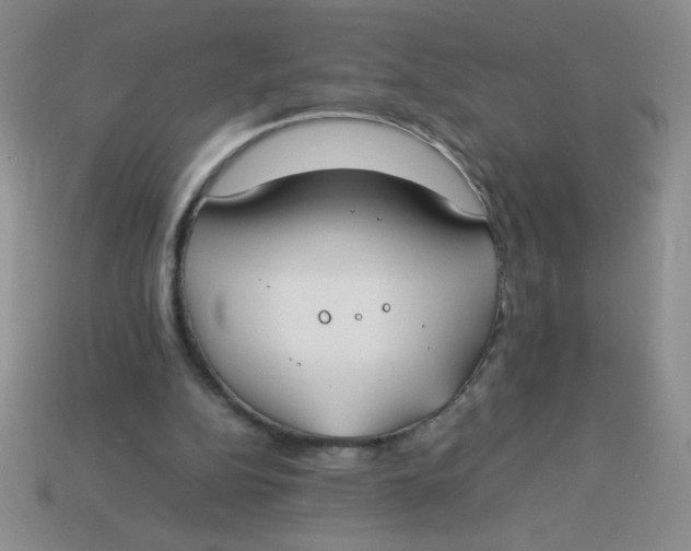 X0000113890152200910151342