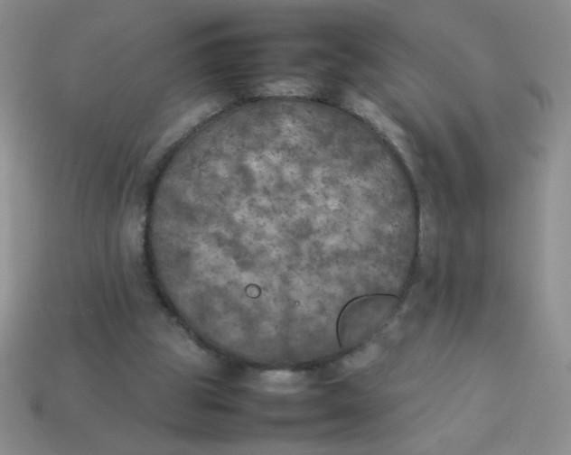 X0000113890153200910151342