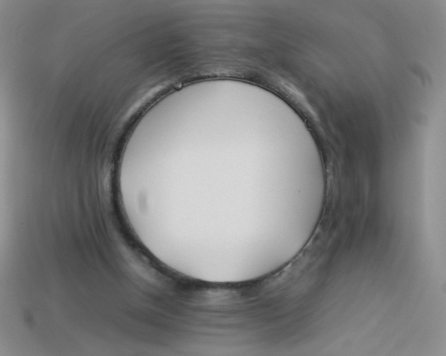 X0000113890154200910151342