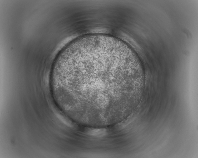 X0000113890155200910151342
