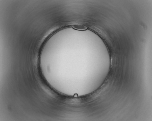 X0000113890156200910151342