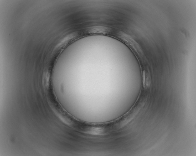 X0000113890157200910151342
