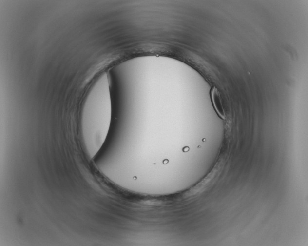 X0000113890158200910151342