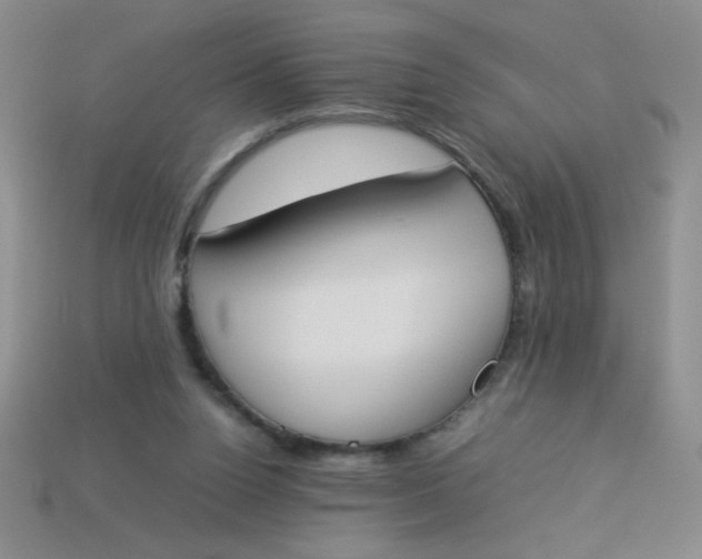 X0000113890160200910151342