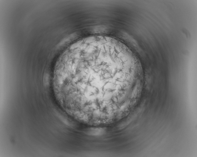 X0000113890161200910151342
