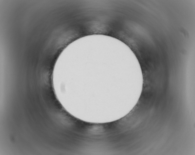 X0000113890162200910151342