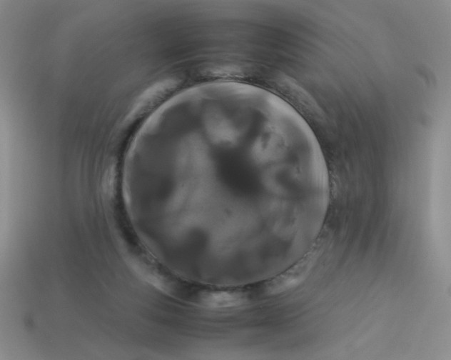 X0000113890163200910151342