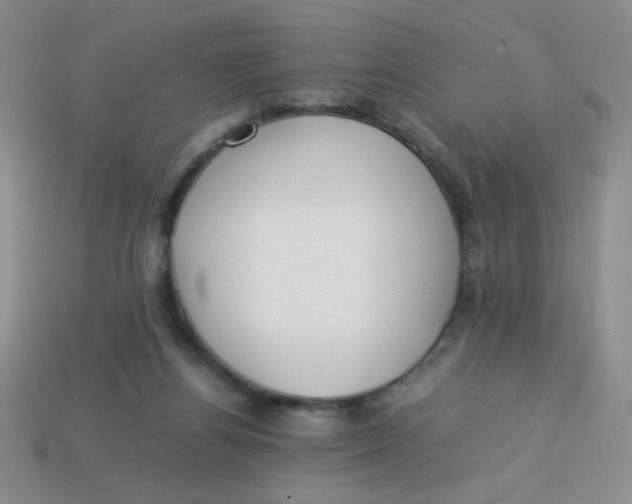 X0000113890164200910151342