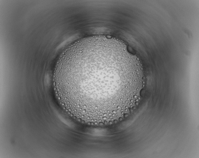 X0000113890165200910151342