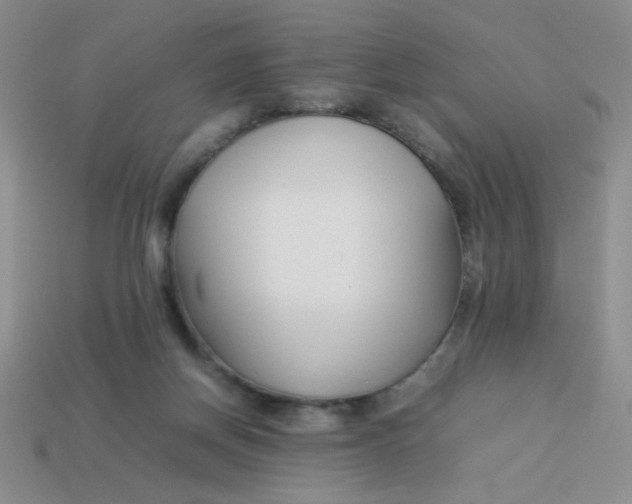 X0000113890166200910151342
