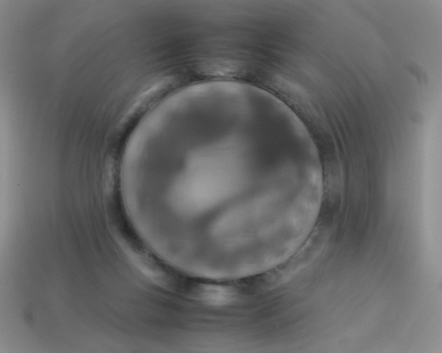 X0000113890167200910151342