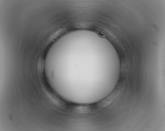 X0000113890168200910151342