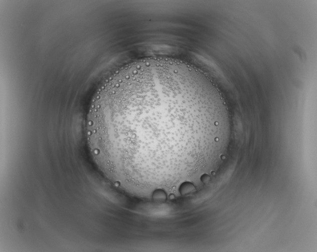 X0000113890169200910151342