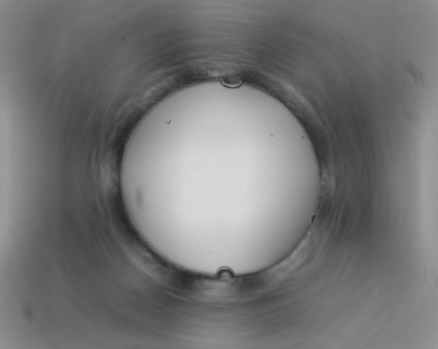 X0000113890170200910151342