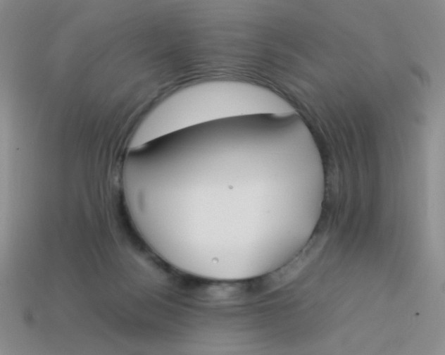 X0000113890172200910151342