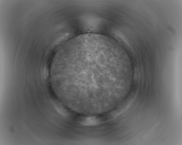 X0000113890173200910151342