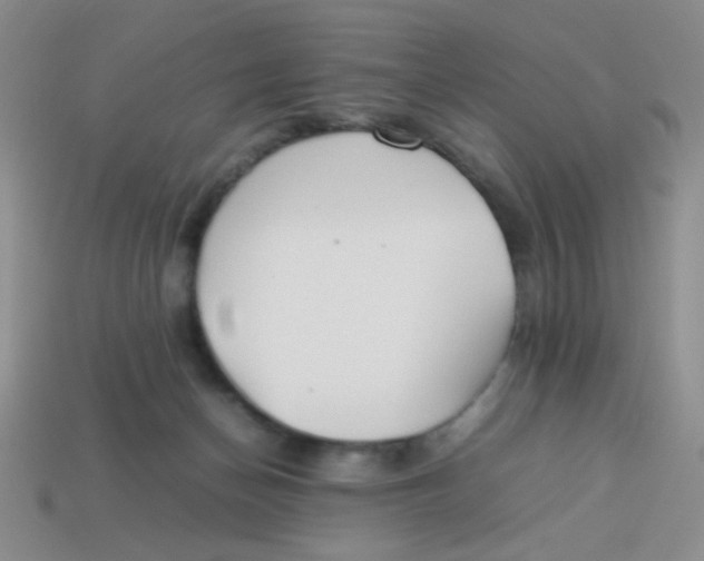 X0000113890174200910151342