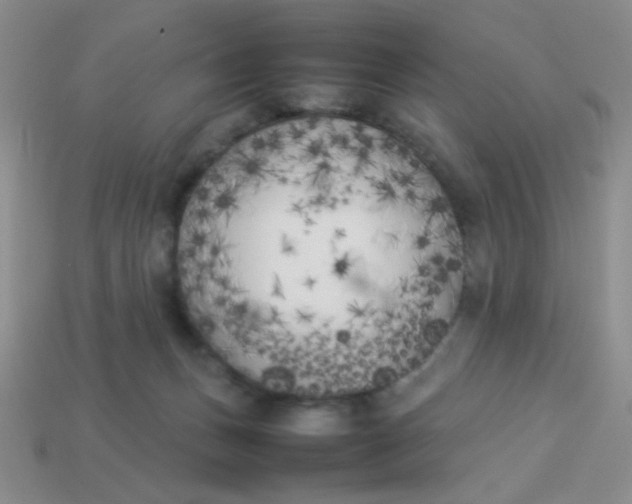 X0000113890175200910151342