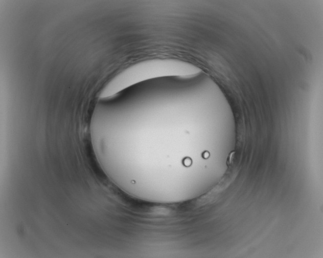 X0000113890176200910151342