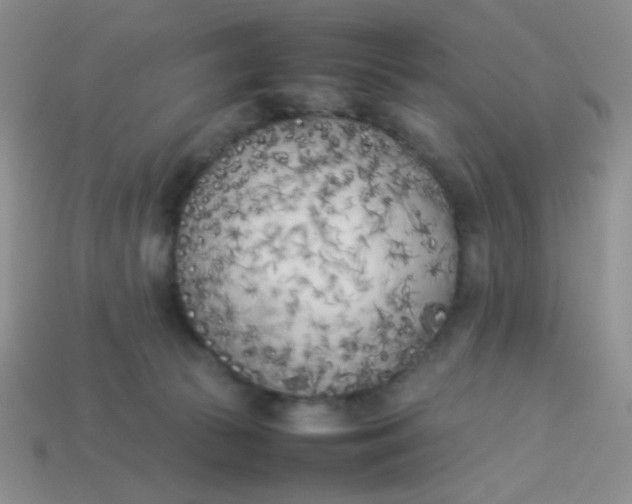 X0000113890177200910151342