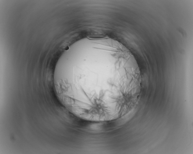 X0000113890178200910151342
