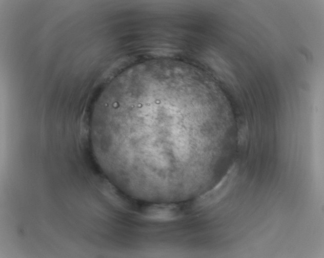 X0000113890179200910151342