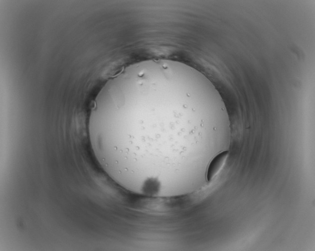 X0000113890182200910151342
