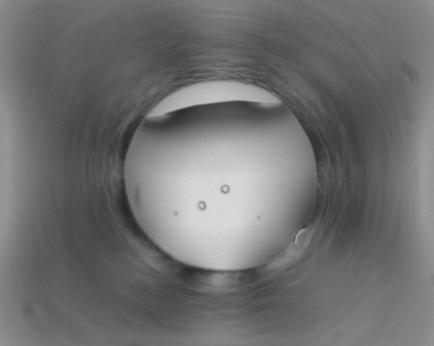 X0000113890184200910151342