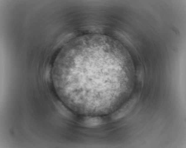 X0000113890185200910151342