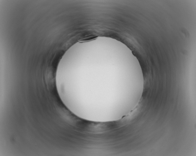 X0000113890186200910151342