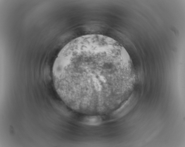 X0000113890187200910151342