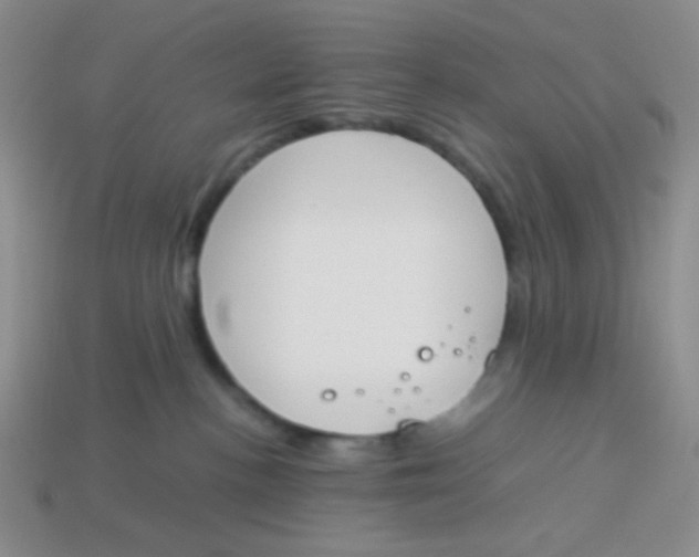 X0000113890188200910151342