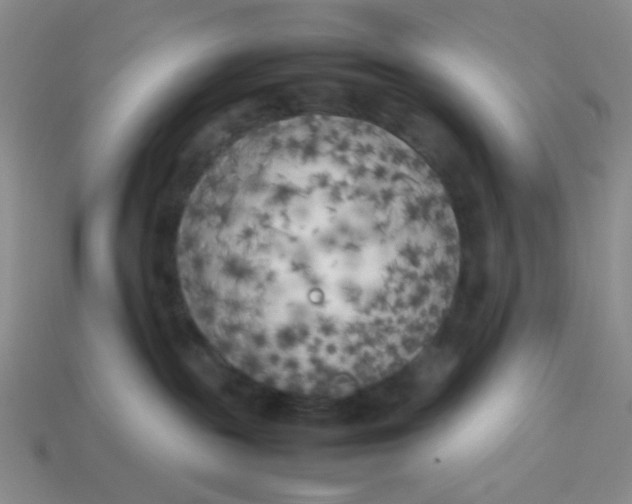 X0000113890189200910151342