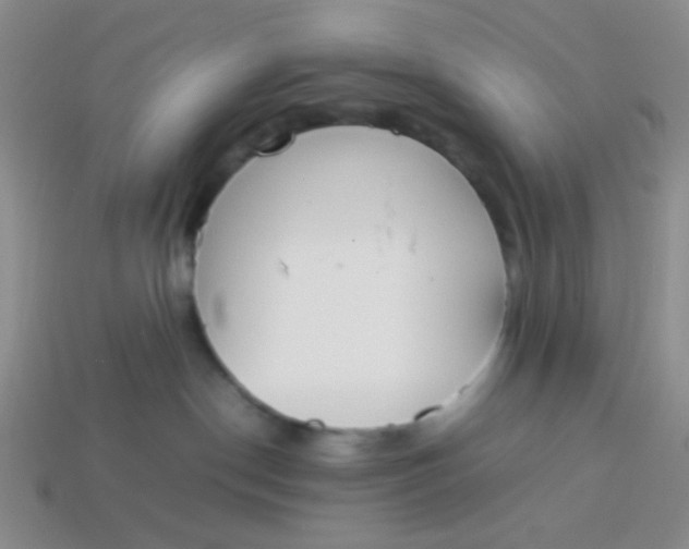 X0000113890190200910151342