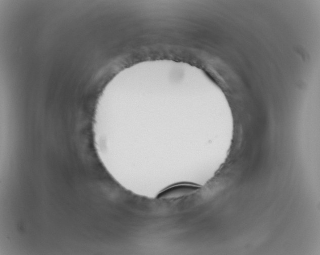 X0000113890192200910151342