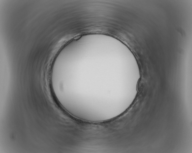 X0000113890193200910151341