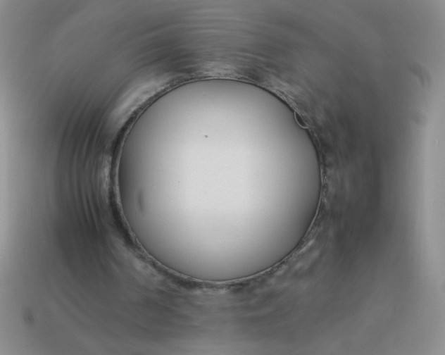 X0000113890194200910151341