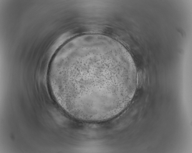 X0000113890195200910151341