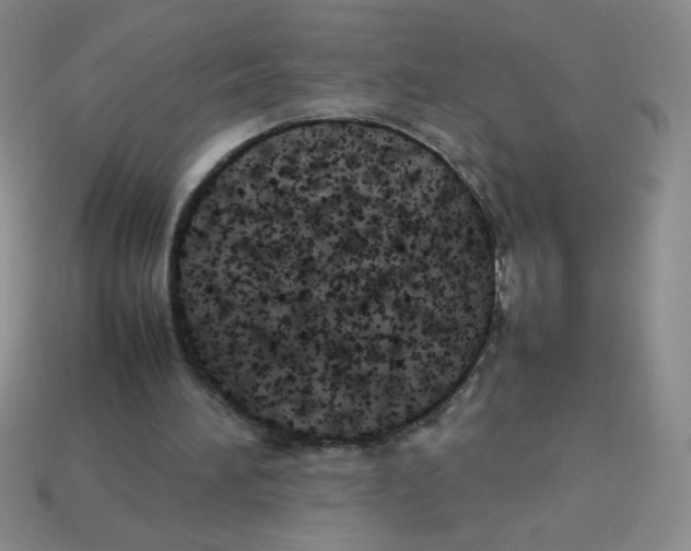 X0000113890196200910151341