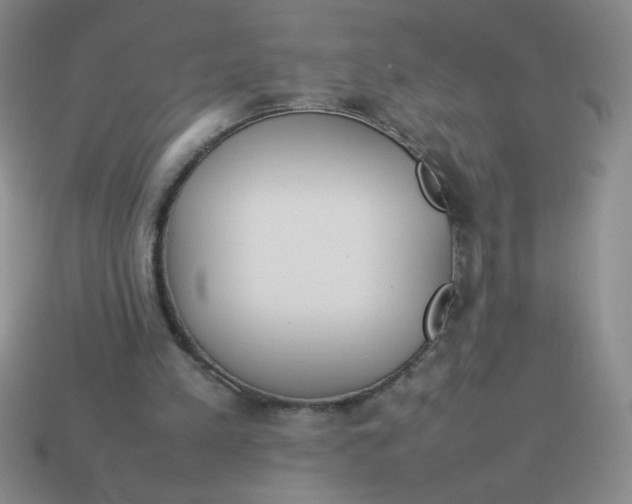 X0000113890197200910151341