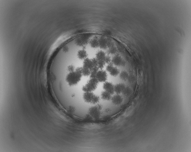 X0000113890198200910151341