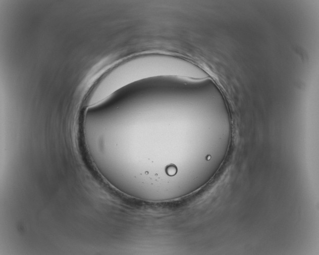 X0000113890199200910151341