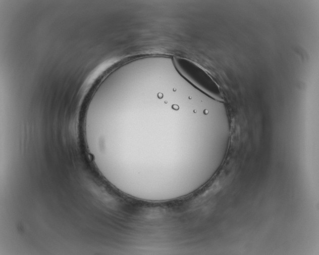 X0000113890200200910151341
