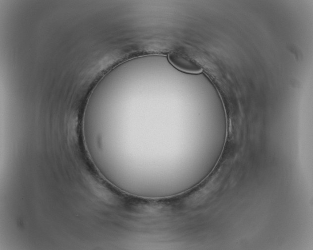X0000113890201200910151341