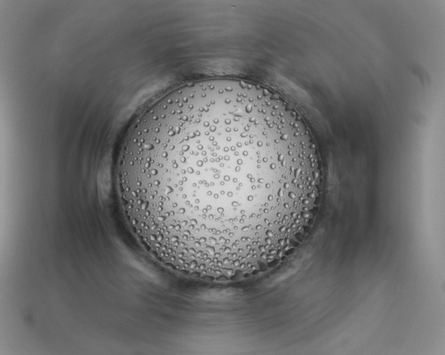 X0000113890202200910151341