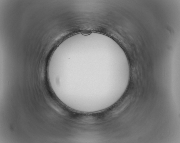 X0000113890203200910151341
