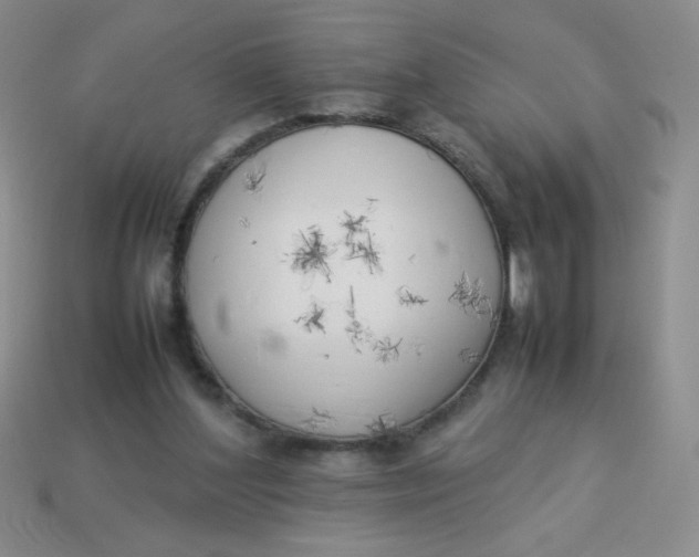 X0000113890204200910151341